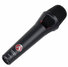 Austrian Audio OD505 2