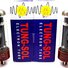 Tung-Sol EL34B Matched Pair 1