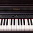 Roland RP701-DR 5