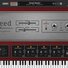 Applied Acoustics Systems AAS Lounge Lizard EP-5 and Packs 2