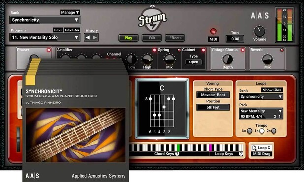 Applied Acoustics Systems AAS Strum GS-2 & Packs 0